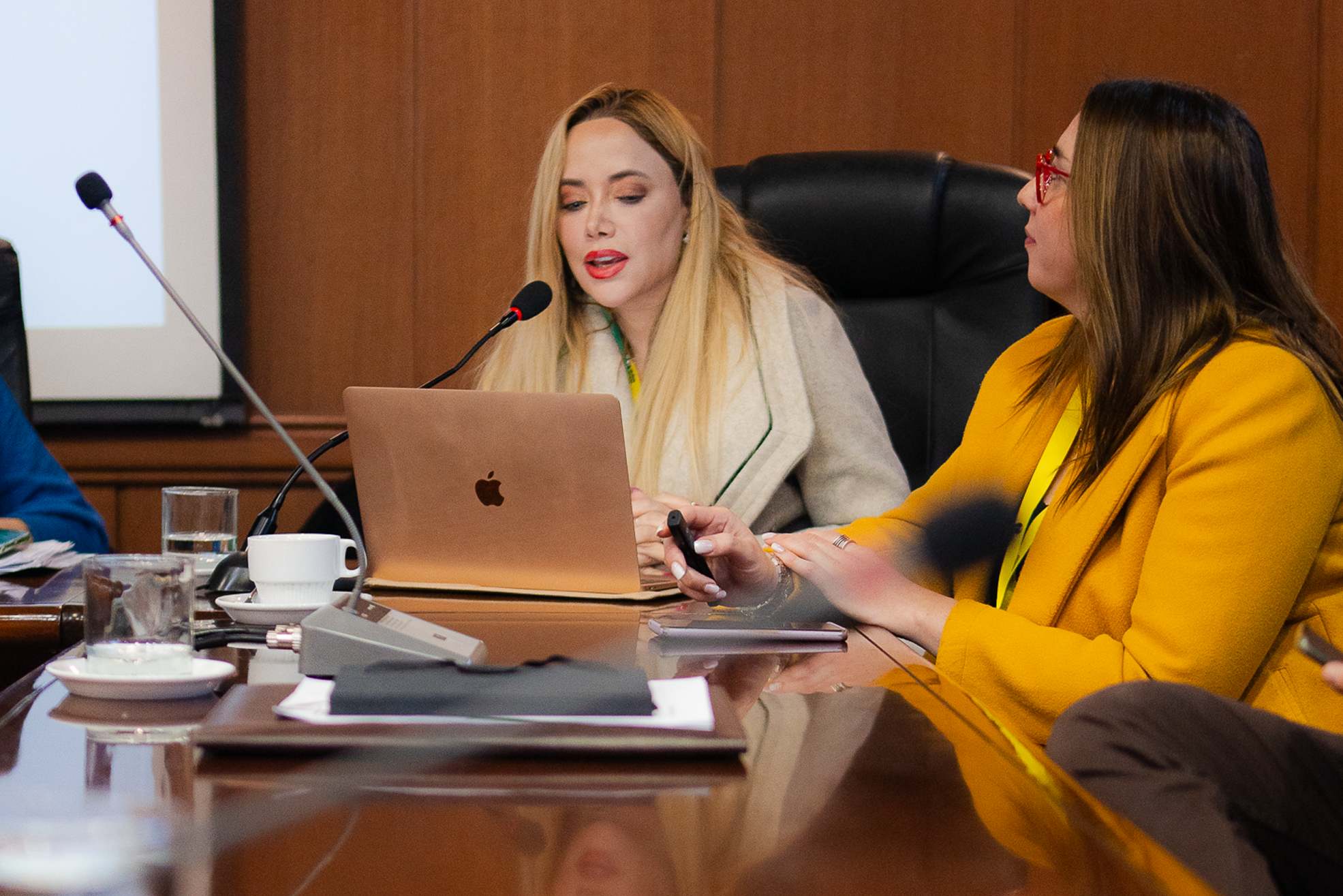 Directora de Salud presenta estado de la Campaña de Invierno ante el Concejo Municipal
