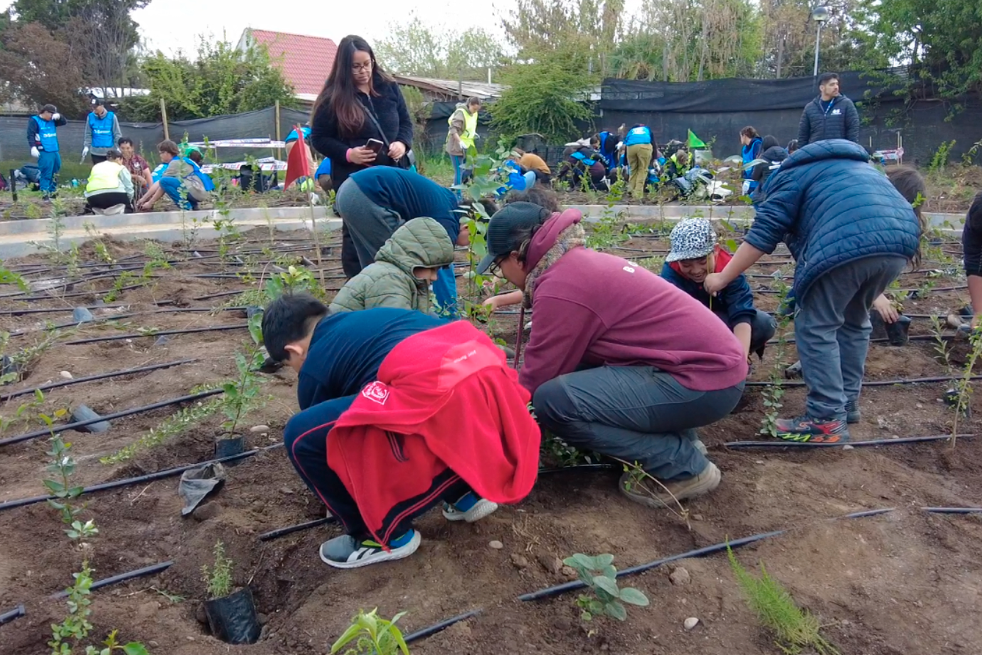 Se inaugura “Bosque de Bolsillo” junto al colegio Benjamín Claro Velasco