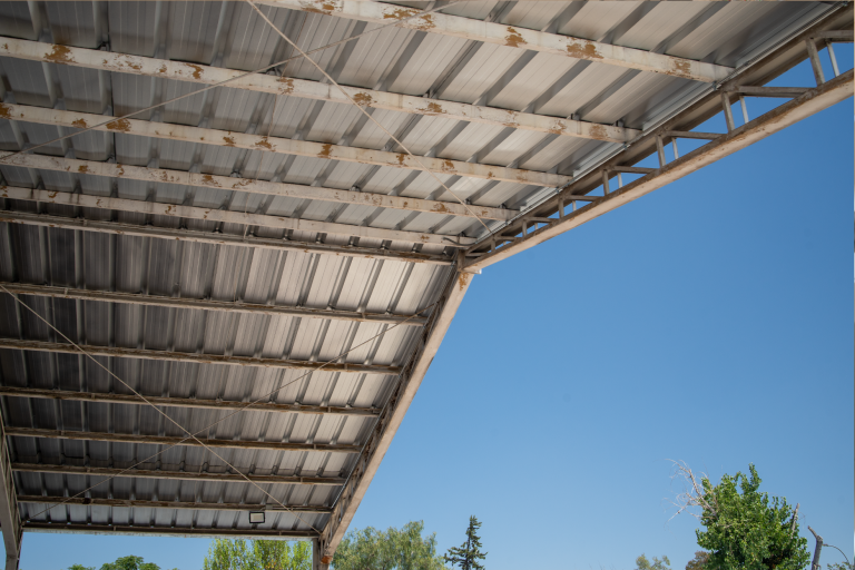 FOTOS WEB BENJA CLARO 3